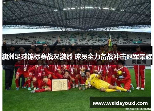 澳洲足球锦标赛战况激烈 球员全力备战冲击冠军荣耀
