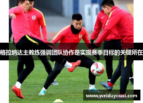 格拉纳达主教练强调团队协作是实现赛季目标的关键所在