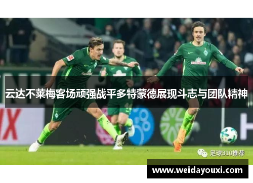云达不莱梅客场顽强战平多特蒙德展现斗志与团队精神