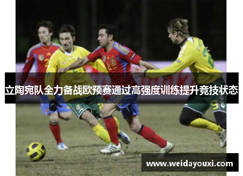 立陶宛队全力备战欧预赛通过高强度训练提升竞技状态