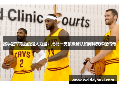 赛季冠军背后的强大力量:揭秘一支顶级球队如何铸就辉煌传奇