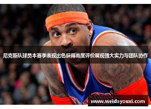 尼克斯队球员本赛季表现出色获得高度评价展现强大实力与团队协作