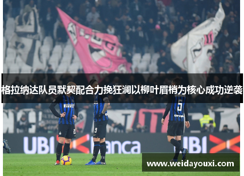 格拉纳达队员默契配合力挽狂澜以柳叶眉梢为核心成功逆袭
