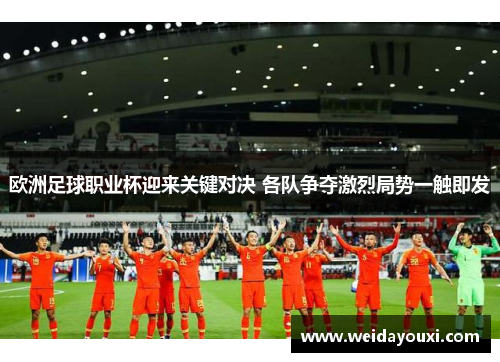 欧洲足球职业杯迎来关键对决 各队争夺激烈局势一触即发