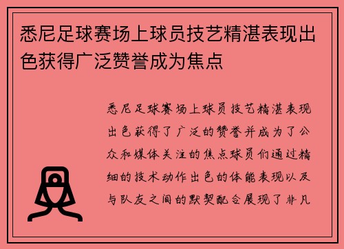 悉尼足球赛场上球员技艺精湛表现出色获得广泛赞誉成为焦点