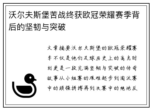 沃尔夫斯堡苦战终获欧冠荣耀赛季背后的坚韧与突破