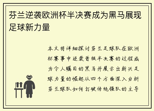 芬兰逆袭欧洲杯半决赛成为黑马展现足球新力量
